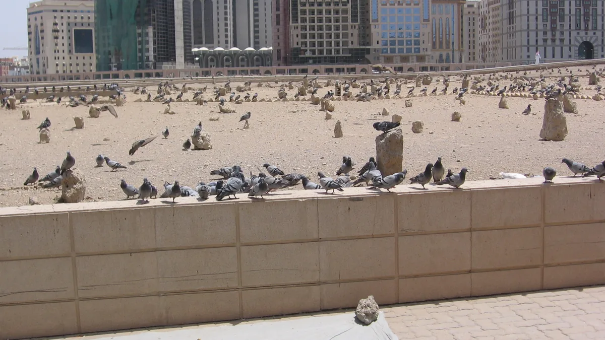 Graves in Jannat al-Baqi seen from the edge of the cemetery